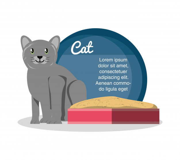 626x555 Cat On Sandbox Icon Vector Premium Download