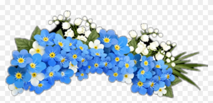 840x408 Flores Sticker