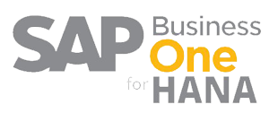 Sap Hana Icon at Vectorified.com | Collection of Sap Hana Icon free for