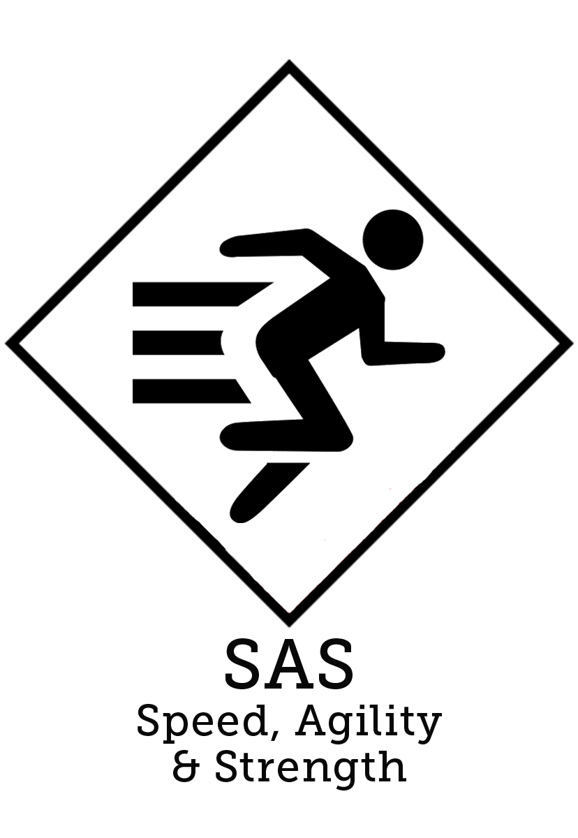 828x1200 Sas Camp Page
