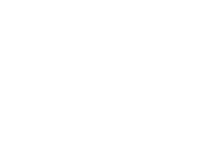 427x320 Sass Brand Guidelines