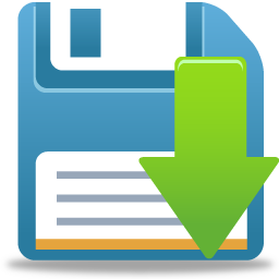 256x256 Save Icon