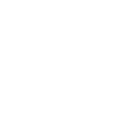 256x256 Free White Alto Saxophone Icon