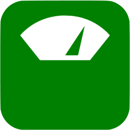 256x256 Green Scale Icon