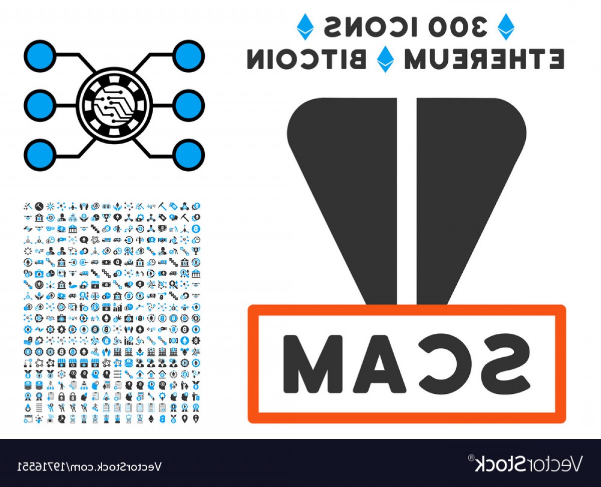 1200x973 Is Vector A Scam Company Catchsplace