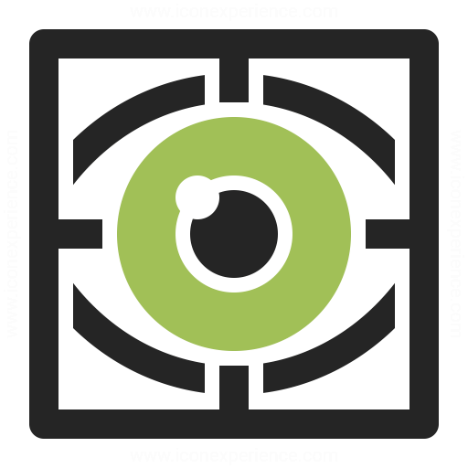 512x512 Eye Scan Icon Iconexperience