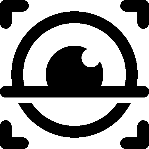 512x512 Security Iris Scan Icon Windows Iconset