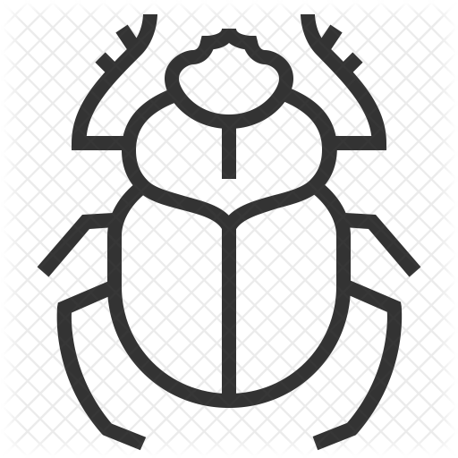 512x512 Scarab Icon Of Line Style