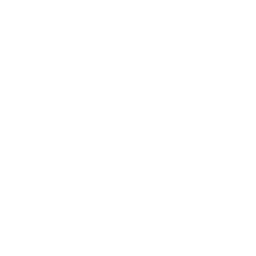 256x256 White Scatter Plot Icon