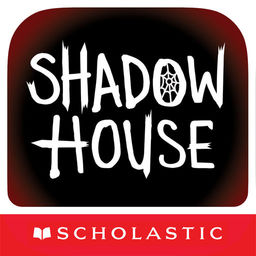 256x256 Shadow House