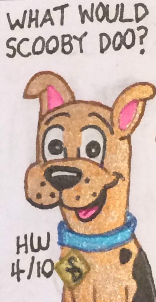528x1024 What Would Scooby Doo Icon Cartoon Amino