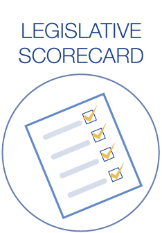 234x336 Leg Scorecard Icon