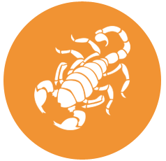 Scorpio Icon 238x230 Scorpio Icon