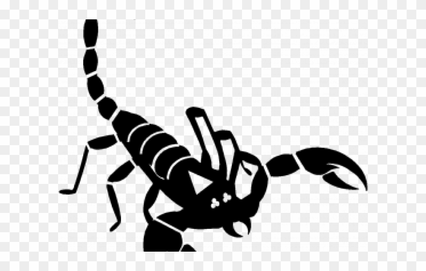 Scorpion Icon Clipart 880x560 Scorpion Icon Clipart
