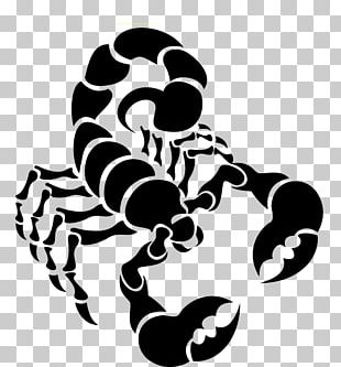 Scorpion Icon Png Images, Scorpion Icon Clipart Free Download 310x333 Scorpion Icon Png Images, Scorpion Icon Clipart Free Download