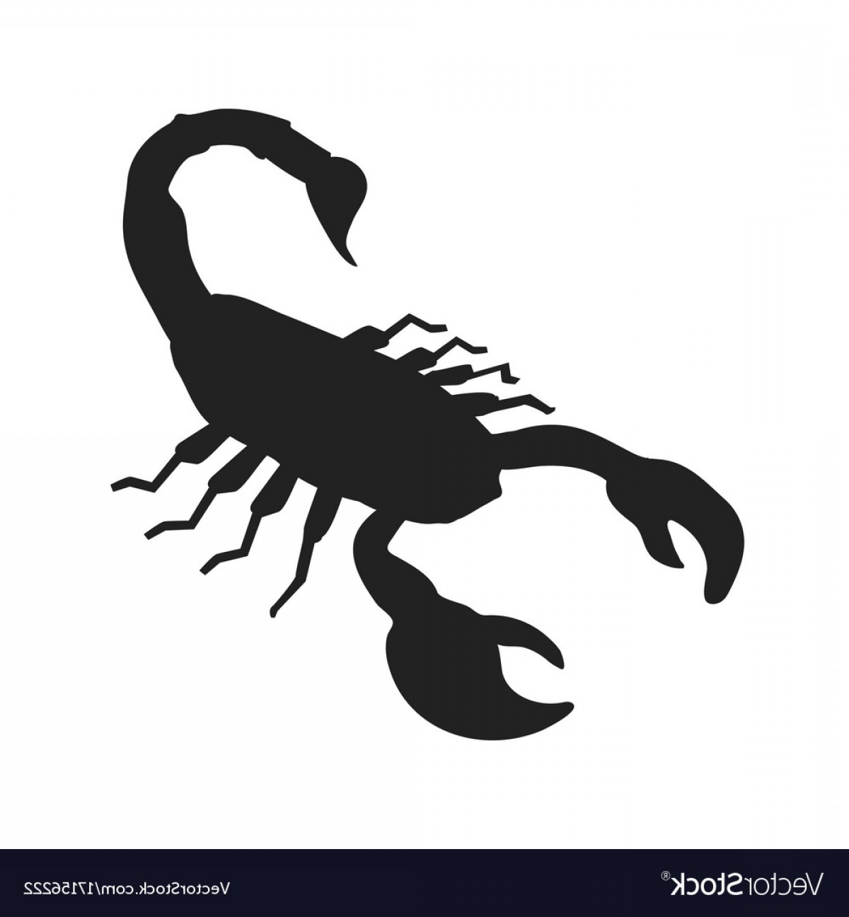 Scorpion Icon Scorpion Silhouette Isolated Vector Soidergi 1200x1296 Scorpion Icon Scorpion Silhouette Isolated Vector Soidergi