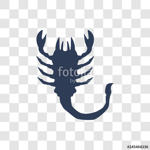 Scorpion Icon Vector Stock Image And Royalty Free Vector 500x500 Scorpion Icon Vector Stock Image And Royalty Free Vector