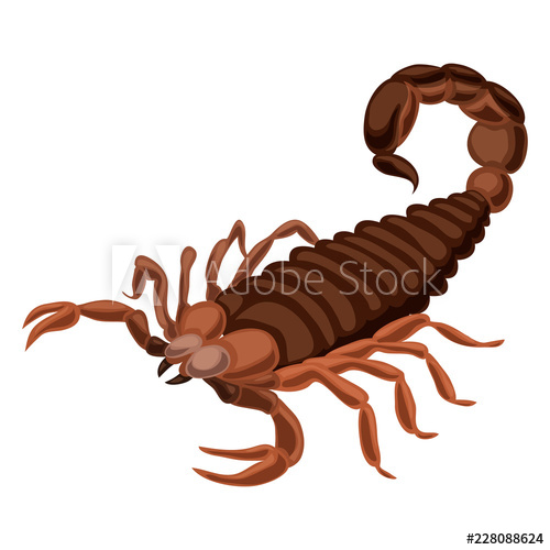 Scorpion Icon Cartoon Of Scorpion Vector Icon For Web Design 500x500 Scorpion Icon Cartoon Of Scorpion Vector Icon For Web Design