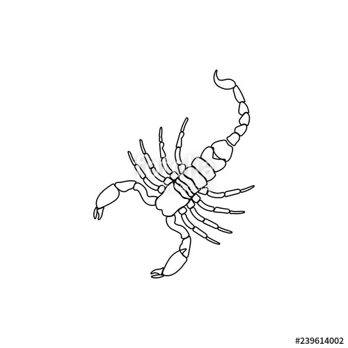 Scorpion Icon Element Of Insect For Mobile Concept And Web Apps 500x500 Scorpion Icon Element Of Insect For Mobile Concept And Web Apps