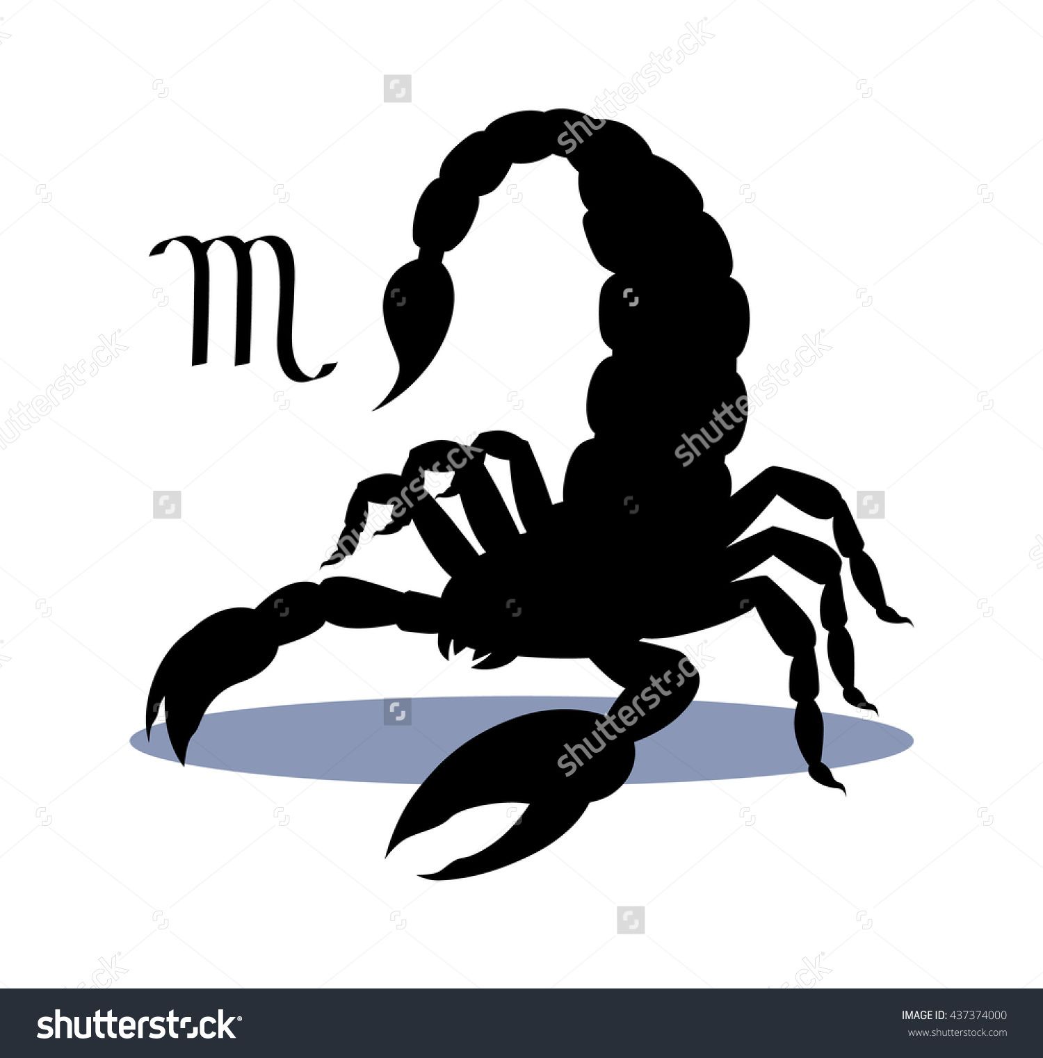 Silhouette Of Dangerous Insect Scorpion Isolated On White 1500x1522 Silhouette Of Dangerous Insect Scorpion Isolated On White
