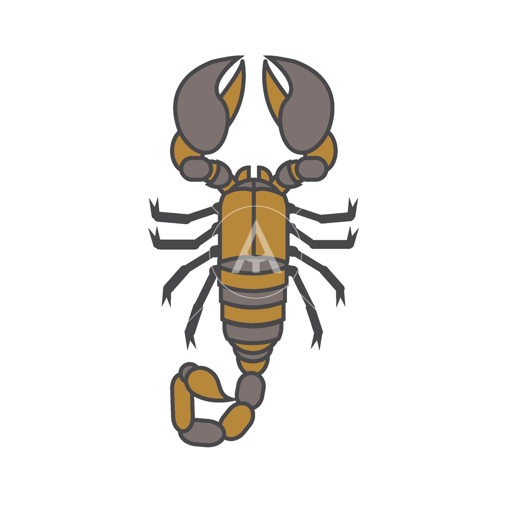 Scorpion 1000x1000 Scorpion