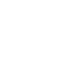 256x256 White Sd Icon