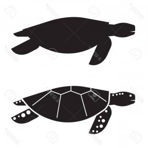 Photostock Vector Sea Turtle Vector Illustration In Outline Design 300x300 Photostock Vector Sea Turtle Vector Illustration In Outline Design