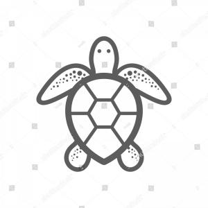 Sea Turtle Icon In Outline Style Isolated On White Vector 300x300 Sea Turtle Icon In Outline Style Isolated On White Vector