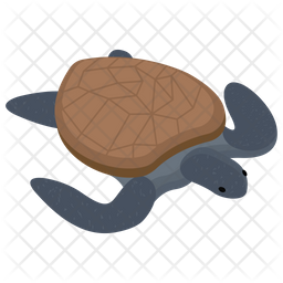 Sea Turtle Icon Of Isometric Style 256x256 Sea Turtle Icon Of Isometric Style