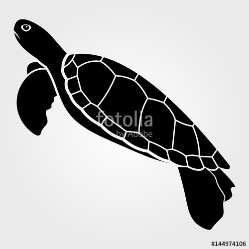 Sea Turtle Icon Isolated On White Background Stock Image 500x500 Sea Turtle Icon Isolated On White Background Stock Image