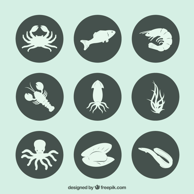 626x626 Seafood Icons Vector Free Download
