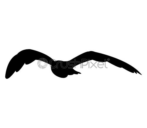 500x438 Seagull Icon, Stock Vector Crushpixel