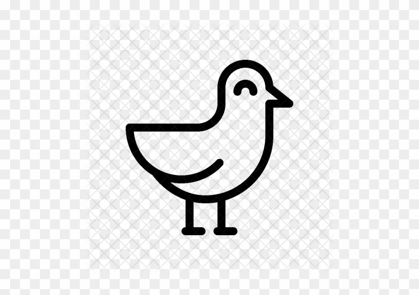 840x592 Seagull Icon