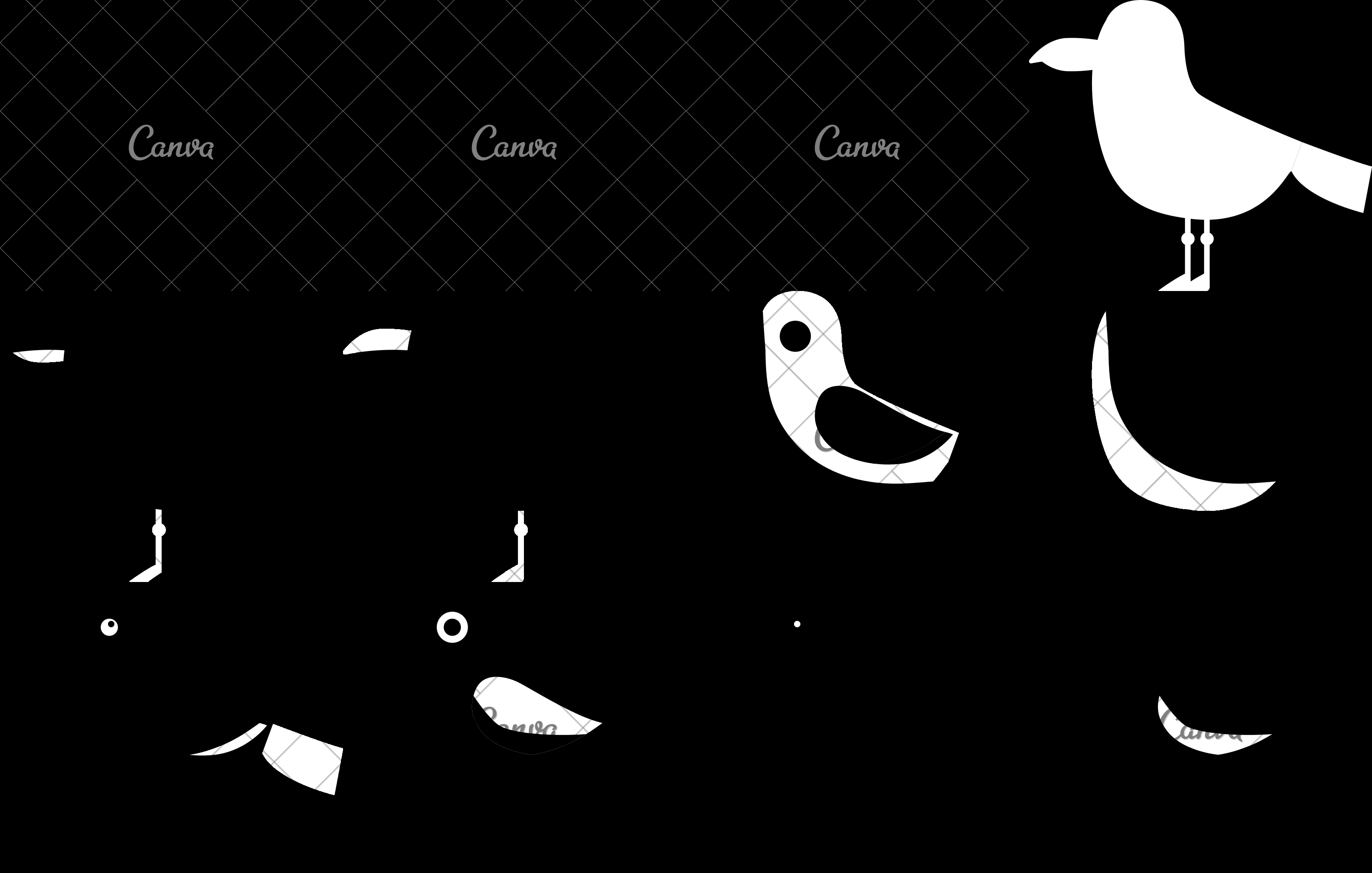 3200x2037 Seagull Icon