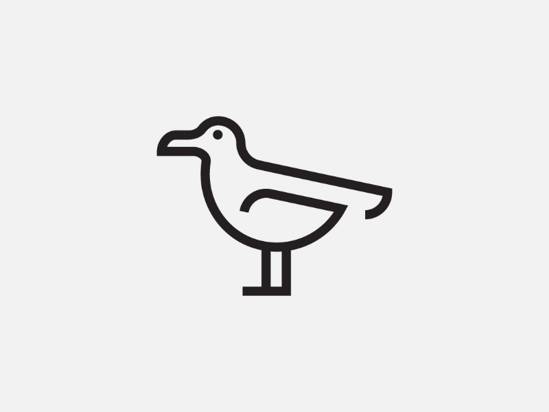 800x600 Seagull Icon