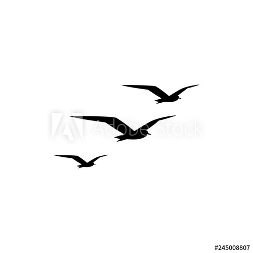 500x500 Seagull Icon Or Logo On White