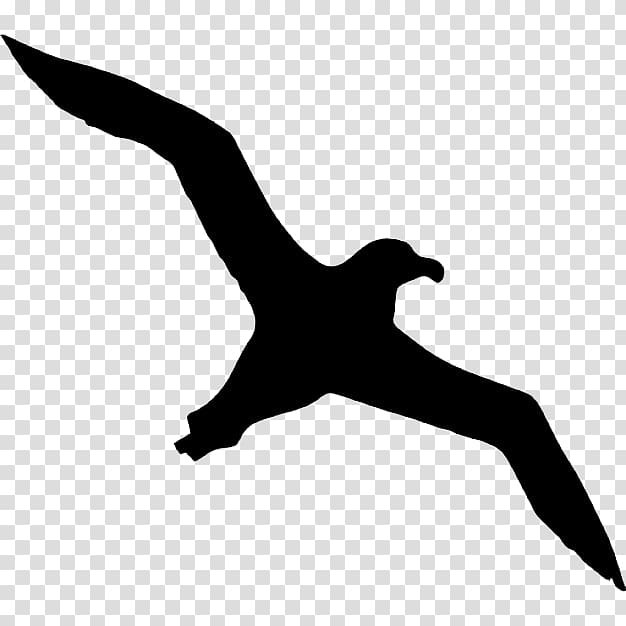 626x626 Silhouette Of Seagull Art, Bird Albatross Icon, Albatross