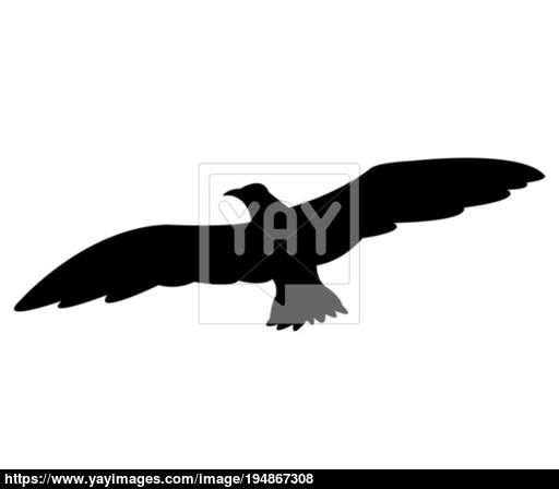 512x448 Seagull Icon Vector