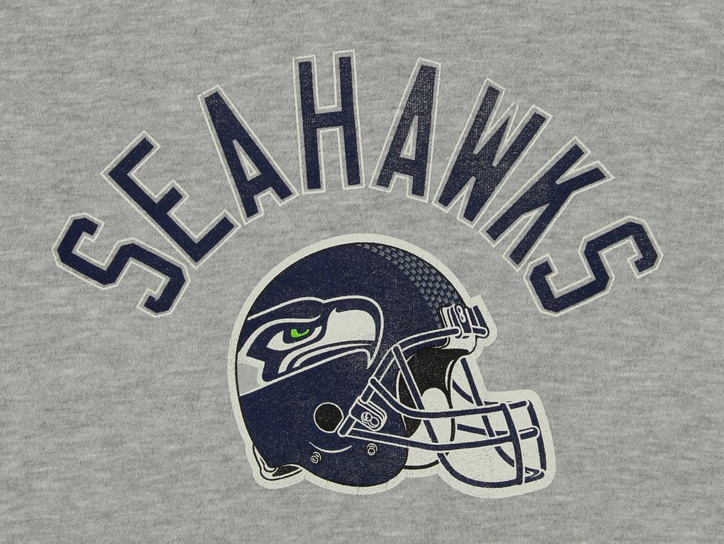 1024x769 Outerstuff Nfl Youth Seattle Seahawks Icon Pullover Hoodie, Grey