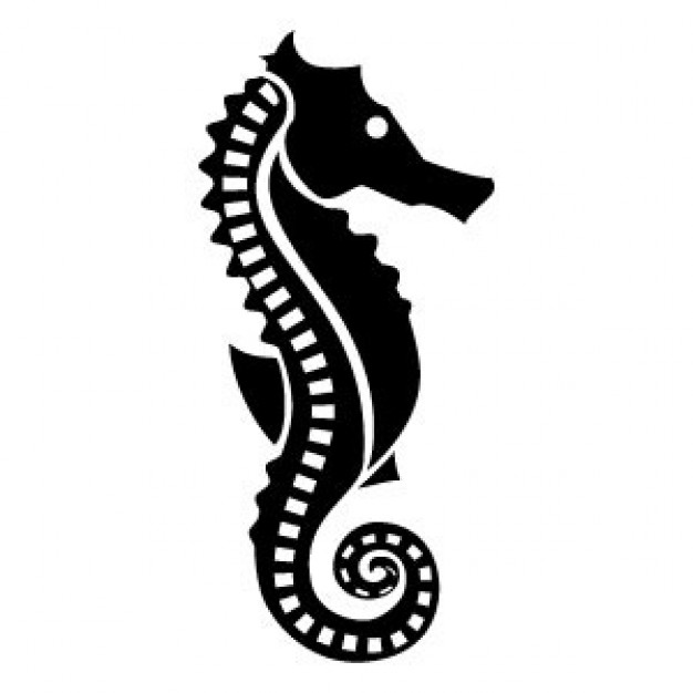 626x626 Seahorse Icon