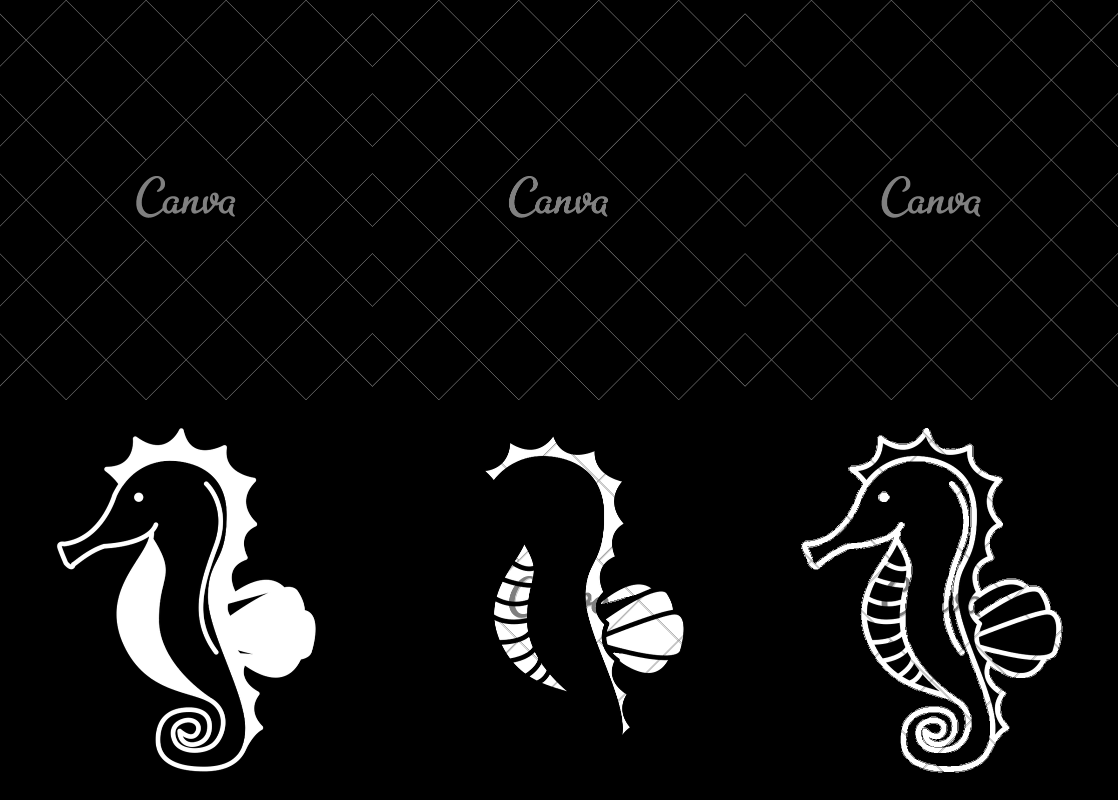 2235x1600 Seahorse Icon
