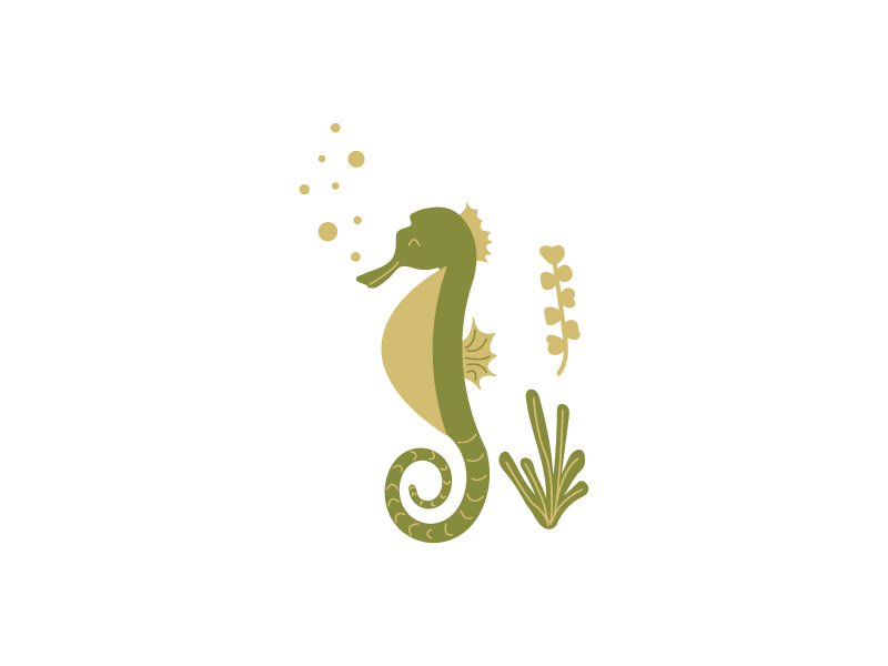 800x600 Seahorse Icon