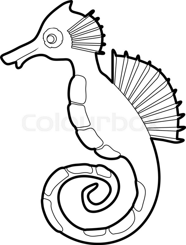 607x800 Seahorse Icon In Outline Style Stock Vector Colourbox