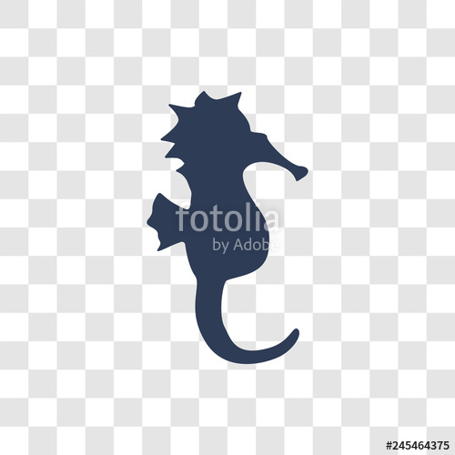 500x500 Seahorse Icon Vector Stock Image And Royalty Free Vector