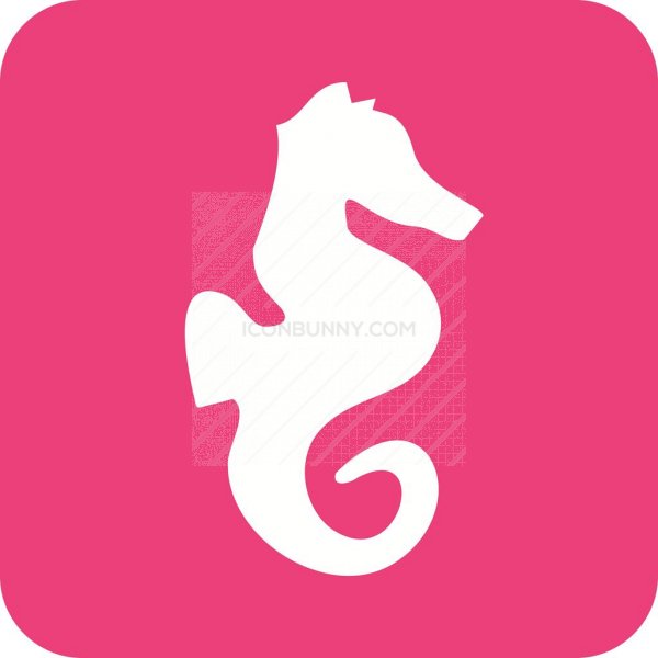 600x600 Seahorse Flat Round Corner Icon