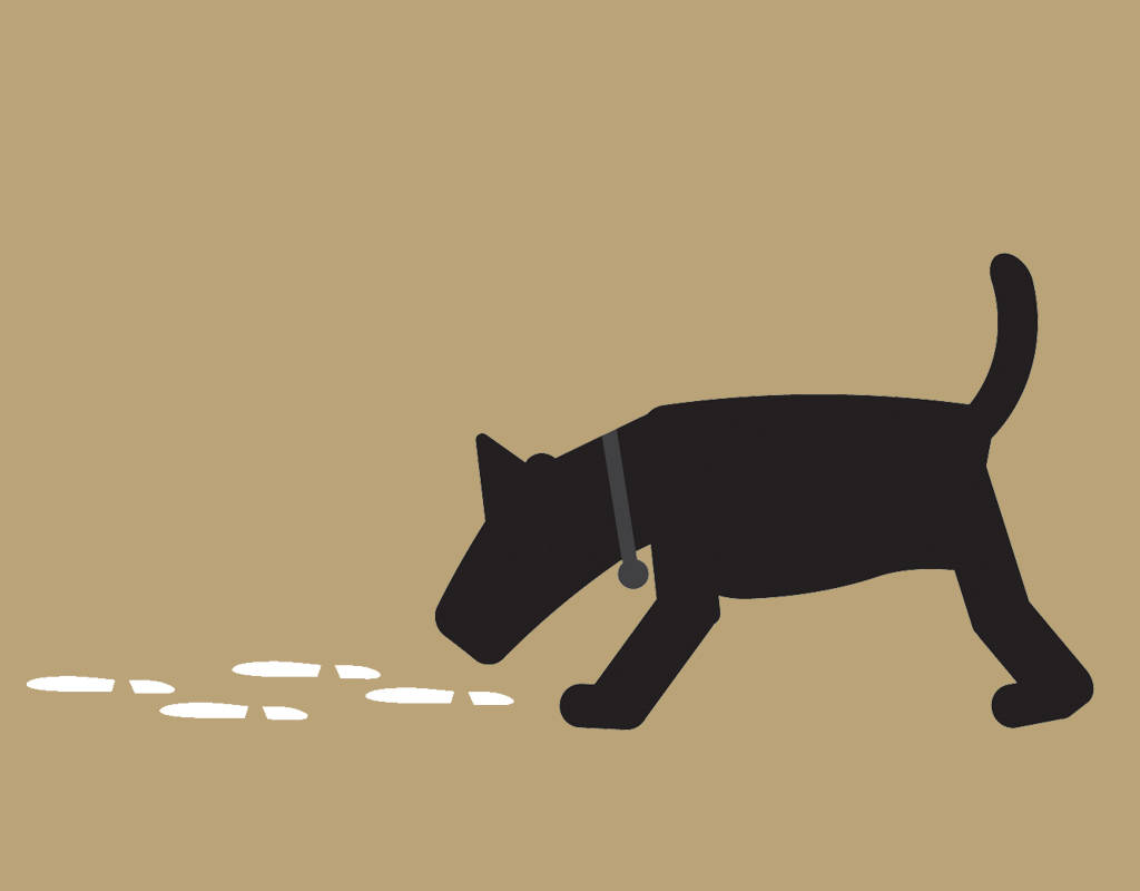 1024x800 Search And Rescue Dog Icon