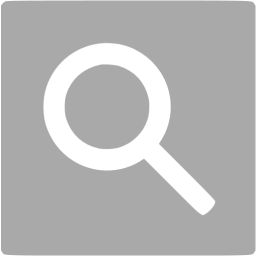 256x256 Dark Gray Google Web Search Icon