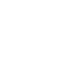 256x256 White Search Icon