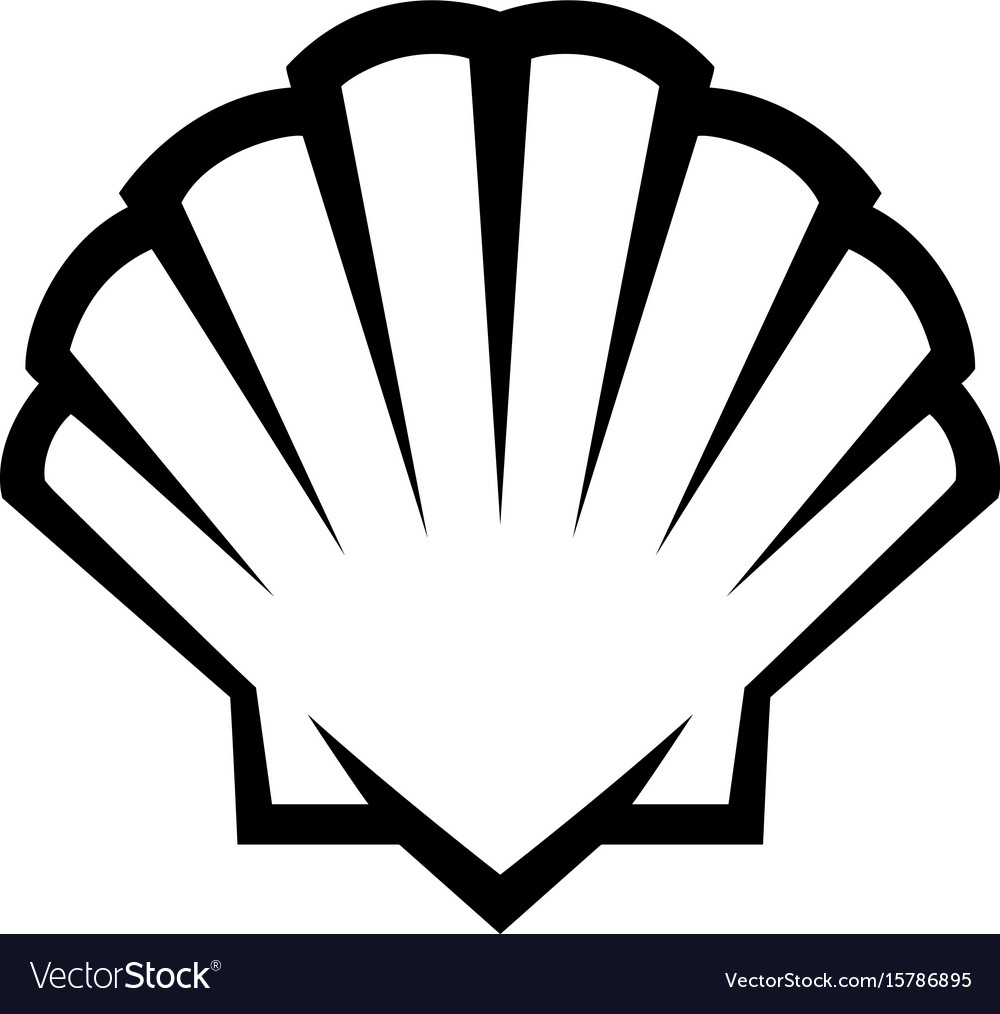 1000x1014 Seashell Icon