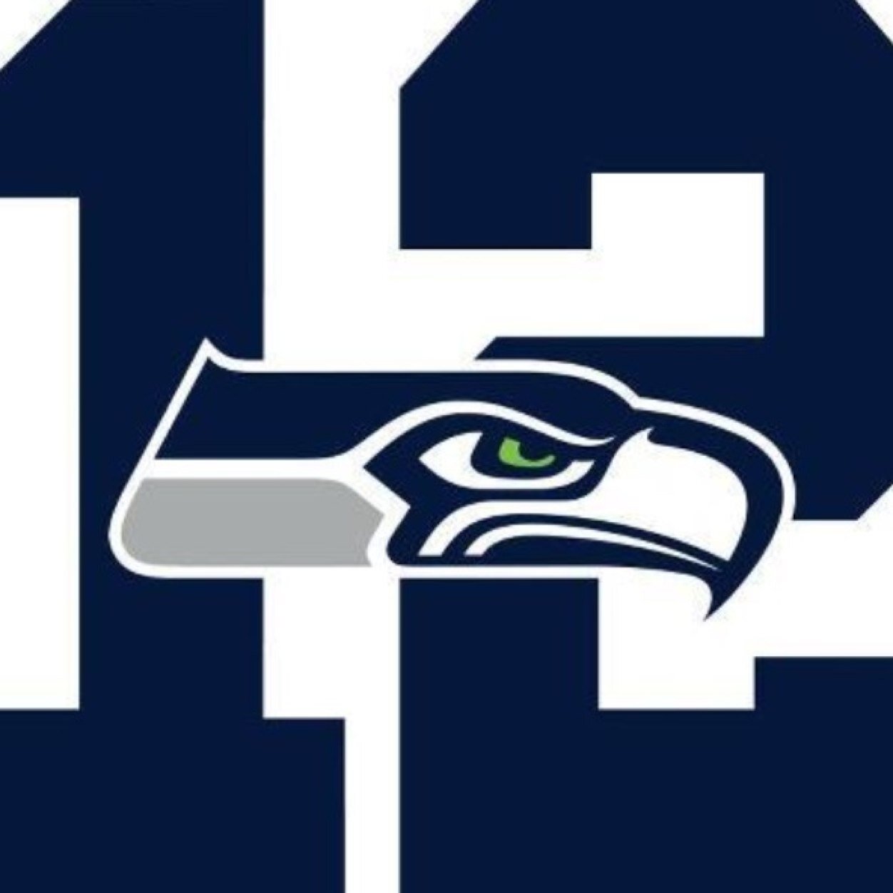 Seahawk Icon 1252x1252 Seahawk Icon